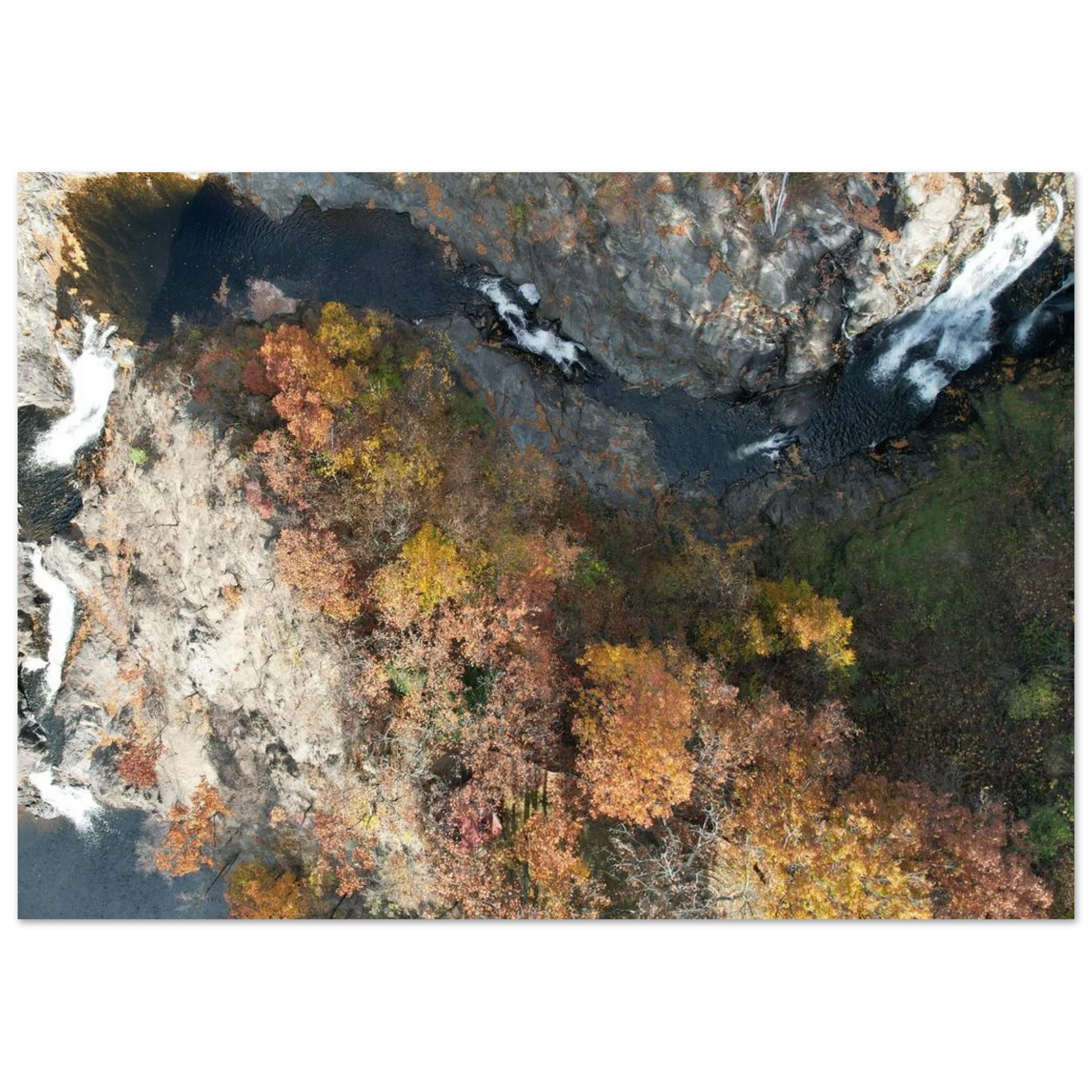 b10e2171-4fca-4a53-ae94-0be4409ecb07