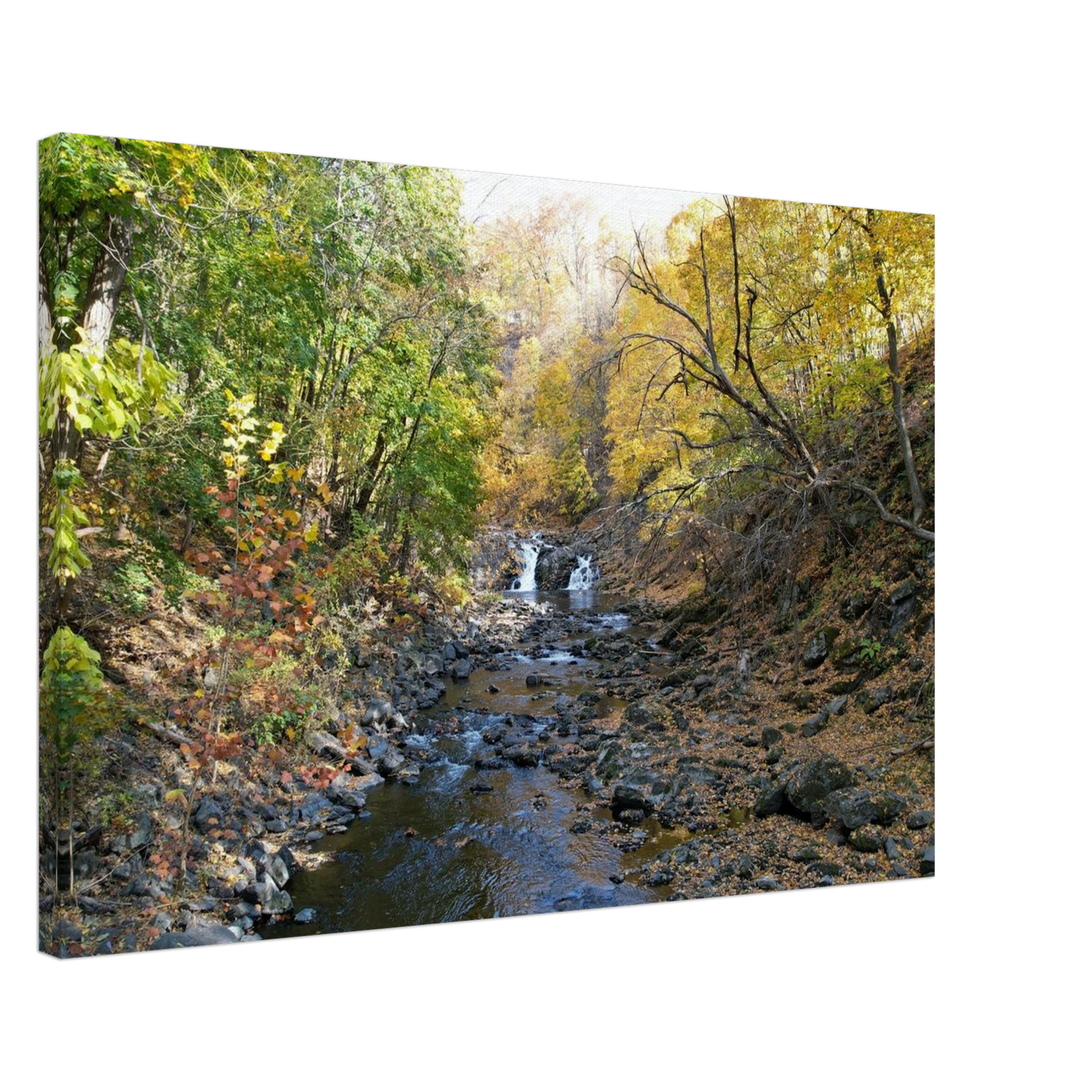 b41fc838-802f-4454-bea4-61ab452b0549