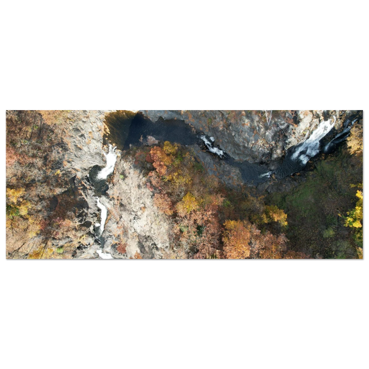 d1d3ab00-1550-4543-a783-ebeba26d5a99