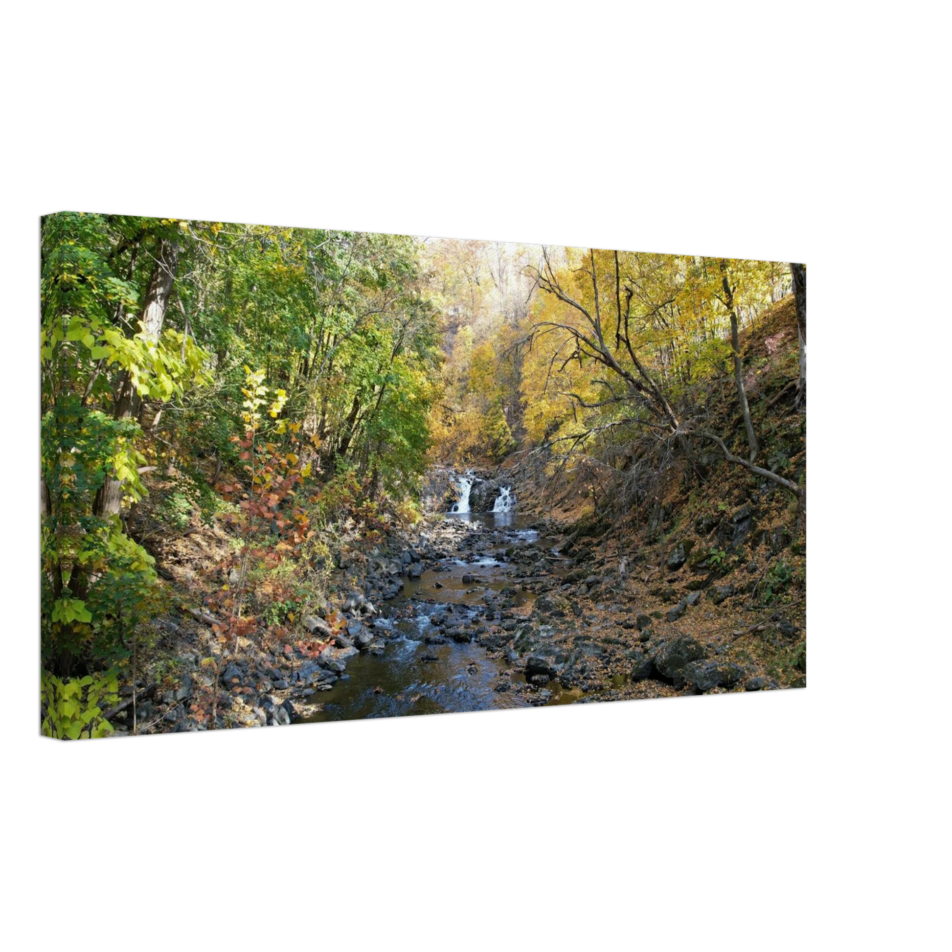 d67c084d-15d5-4460-9ef0-644023e24a8d