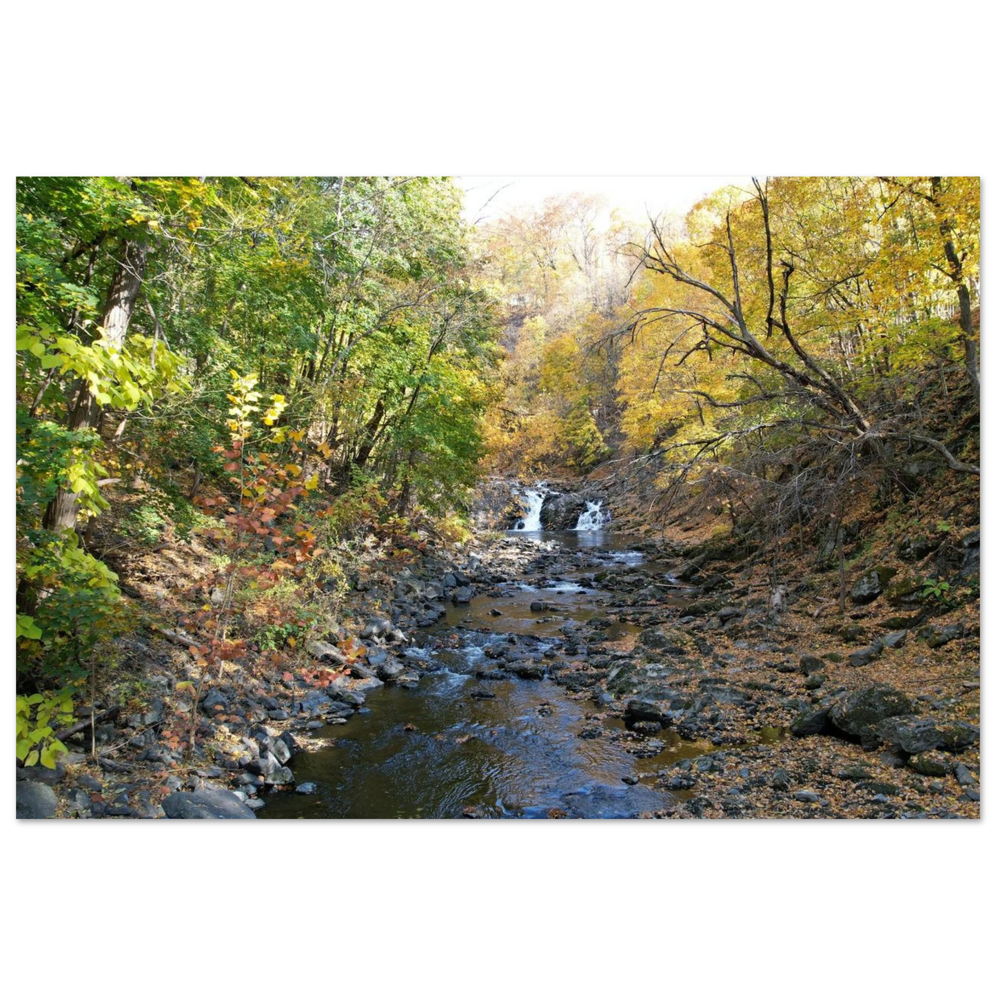 3a7d923e-3ce0-4b3e-bbbb-3b9f5e578ffe