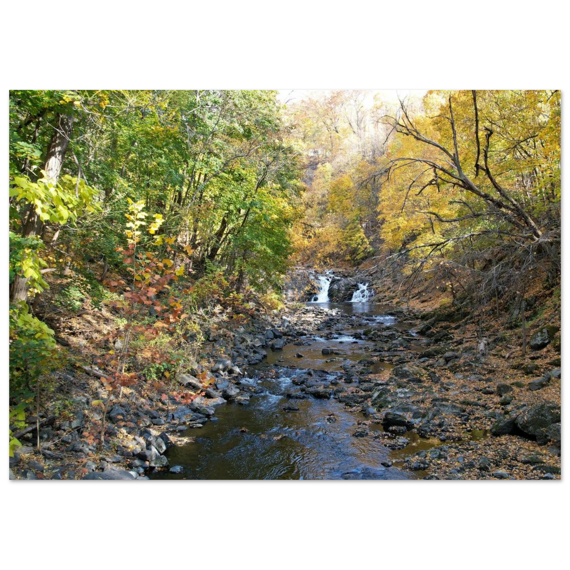 4515c1c7-5df6-42e2-b717-f5d1920a8653