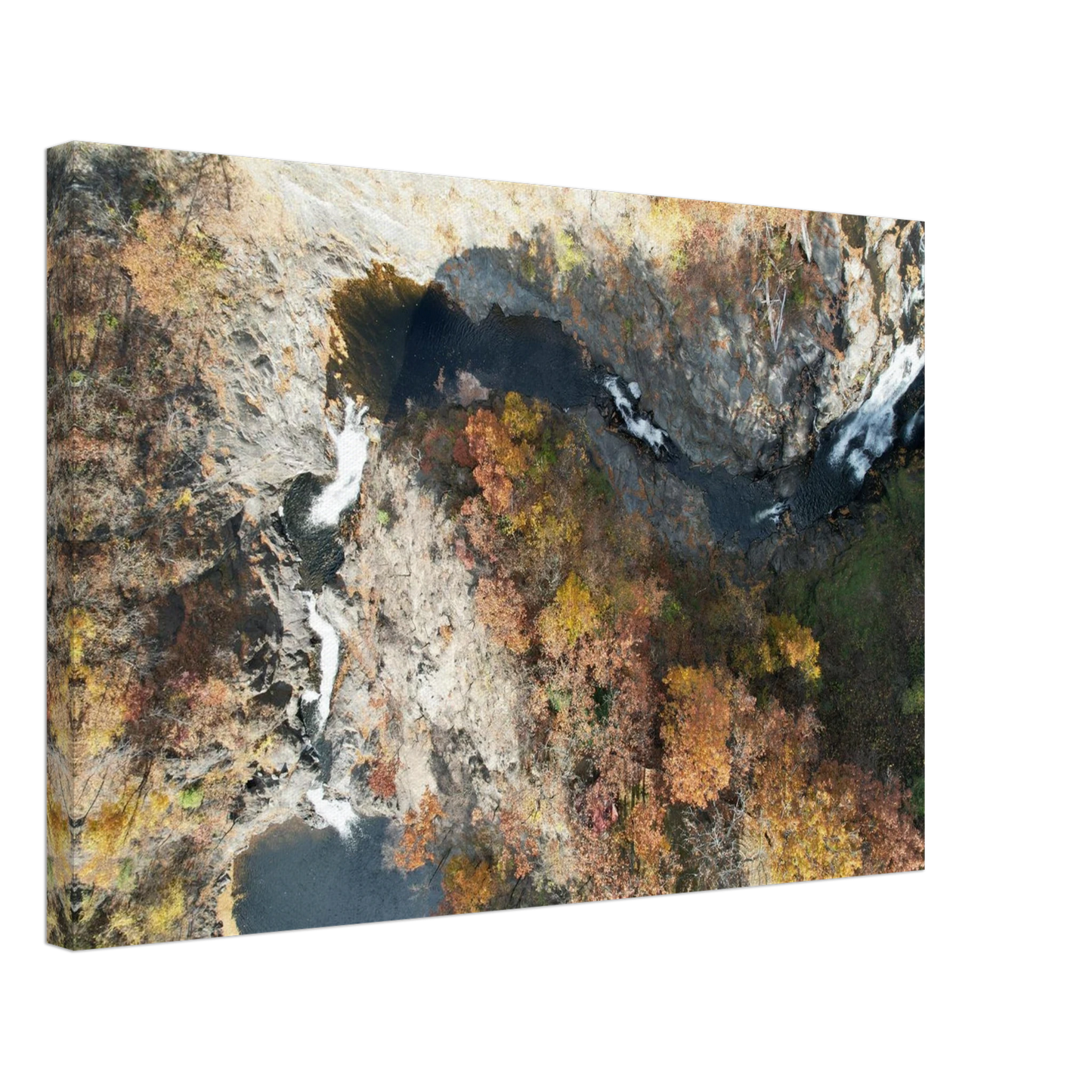 9e3cae4d-4dc2-461d-bb7e-38bd8451a81f