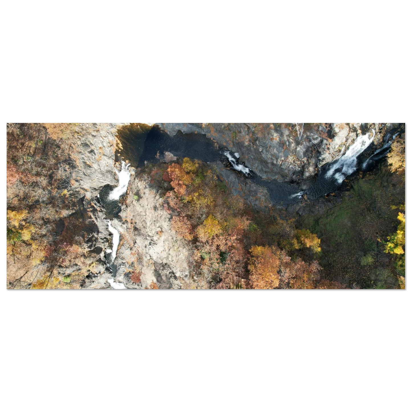 d1d3ab00-1550-4543-a783-ebeba26d5a99