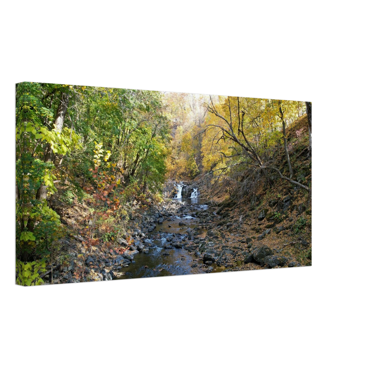 d67c084d-15d5-4460-9ef0-644023e24a8d