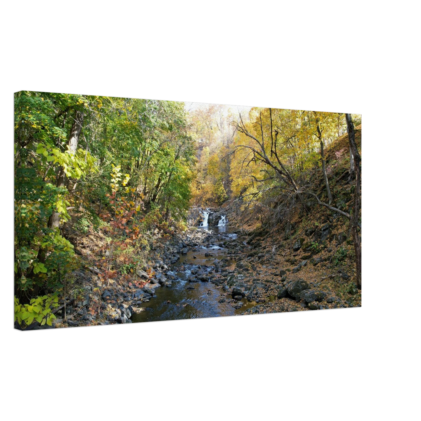 e9bbd9d7-cdd4-48f5-8c2d-4c00e15a7234